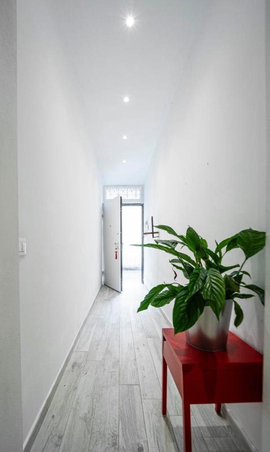 شقة Puccinotti House فلورنس المظهر الخارجي الصورة